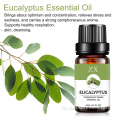 โรงงานจัดหาน้ำมันหอมระเหย Eucalyptus globulus บริสุทธิ์ 100%